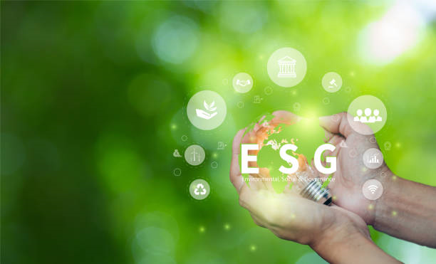 ESG Reporting - A Launchpad for Sustainable Business Development